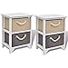 vidaXL Set 2 Comodini Mobiletto con 2 Cassetti Camera da Letto Rustico in Legno