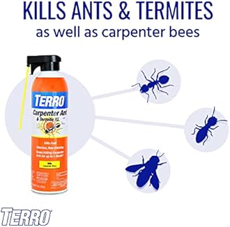 TERRO T1901SR Ready to Use Indoor and Outdoor Carpenter Ant, Termite, and Carpenter Bee Killer Aerosole Spray - 2 Pack 32 Total Ounces