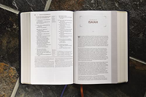 Zondervan 231280 Nasb, The Grace And Truth Study Bible thumb #5