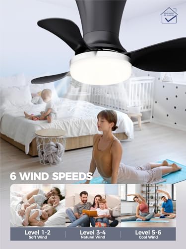 Image of LANMEL Ceiling Fan with Light, Modern Flush Mount Low Profile with Remote Control, Reversible, 3CCT Dimmable, Quiet,LED for Bedroom, Living Room, Indoor /Outdoor Patio Use 22 Inch Silver & Black