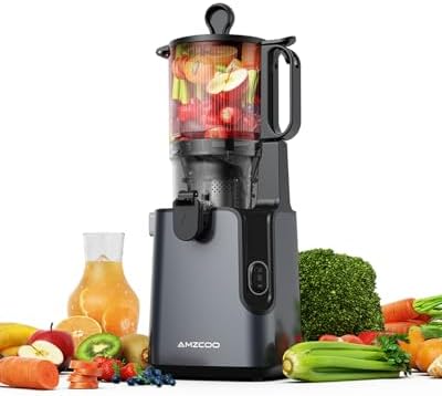 Slow Juicer, extracteur de jus de 130 mm et récipient à jus de 1,...