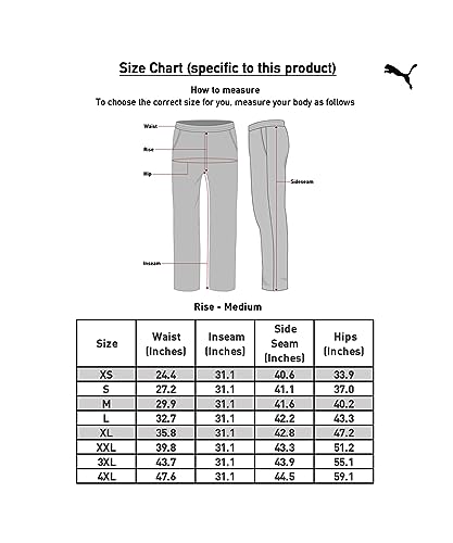 Image of Puma Men's Regular Track Pants