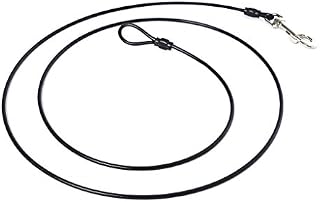 LAST LEASH No Chew Training Tie Down - Short Tether for Dogs