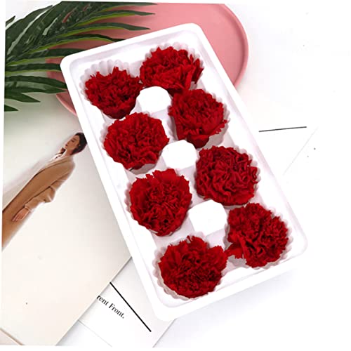 Zerodeko 2pcs Eternal Carnation Flores Secas para Ramo miniatura 2