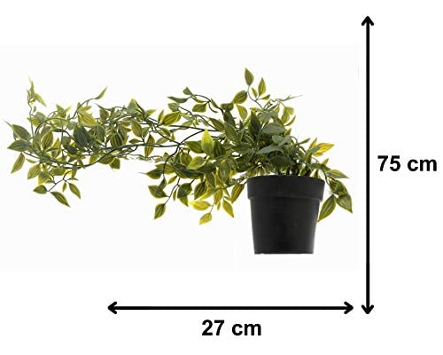 Image of Chitra Artificial Fern Plant with Pot for Home, Office, Living Room & Counter Decoration | Realistic Faux Greenery for Indoor Use | Durable Plastic Pot (7)