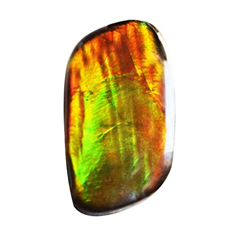 Cabochon en ammolite naturelle multicolore de 26x15mm pour création de pendentif