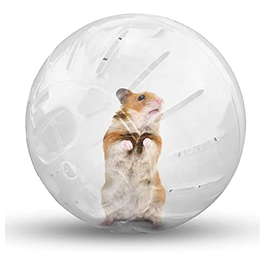 Voarge Löpboll för gnagare, hamstrar, rörelse, gnagarleksak för löpning, plast, 12 cm, genomskinlig