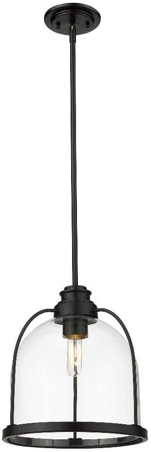 Acclaim Lighting IN21300BK Transitional, Black