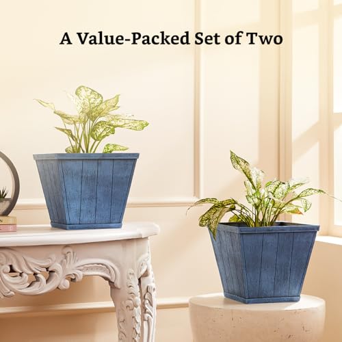 Image of Amazon Brand- Solimo Indoor and Outdoor Square 10 Inch Barrel Flower Planter Pot Best for Terrace /Balcony /Home /Office Decor - Set of 2