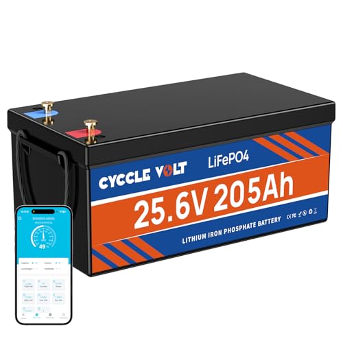24V 205Ah LiFePO4 Battery with Bluetooth BMS