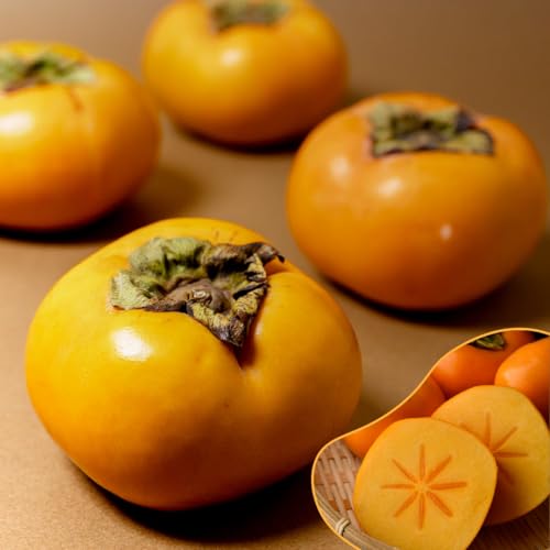 H D 8ʁ`12 3.5kg Y IWii ` Ê`  uh`   H Ȃ t[c ʕ v[g Mtg