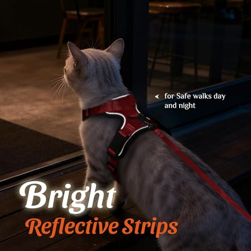 Image of Dooradar Cat Harness and Leash Set, Escape Proof Safe Adjustable Kitten Vest Harnesses for Walking, Easy Control Soft Breathable Mesh Jacket with Reflective Strips for Cats, Red, S