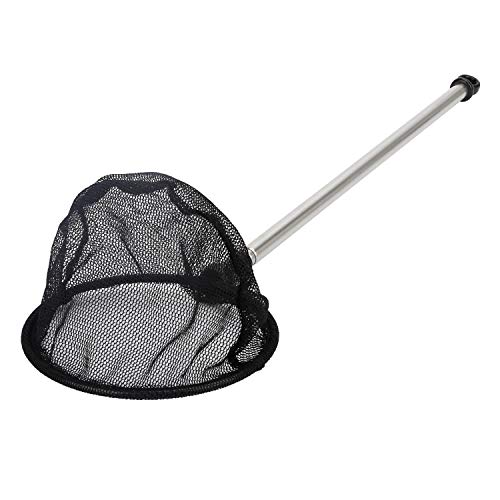 Pawfly Aquarium Fish Net with Extendable 9-24 Inch Long Handle for Betta Fish Tank Small Koi Pond and Pool