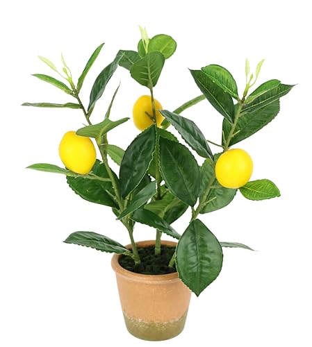 Citronnier artificiel réaliste de 30 cm idéal pour égayer une cuisine ou un salon - 3