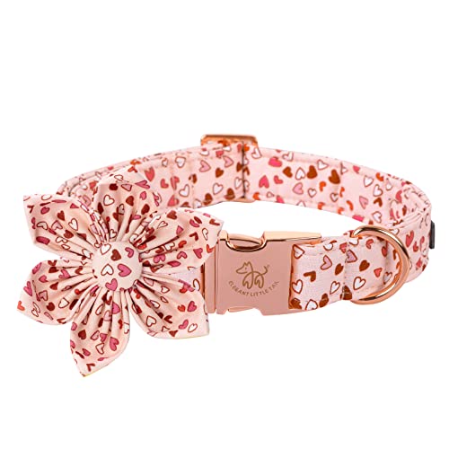 Rose Gold Dog Collar 13 Elegant little tail Valentine's Day Heart Dog Collar, Cute Detachable ...