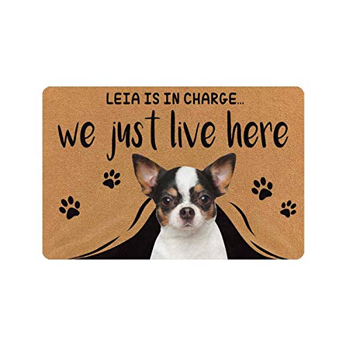MyPupSocks Custom Pet Dog Picture Name Text Doormat Pet is in Charge We Just Live Here Door Mat Floor Rug 23.6 x 15.7 Inches Indoor Outdoor Bathroom Living Room Non Slip Decor