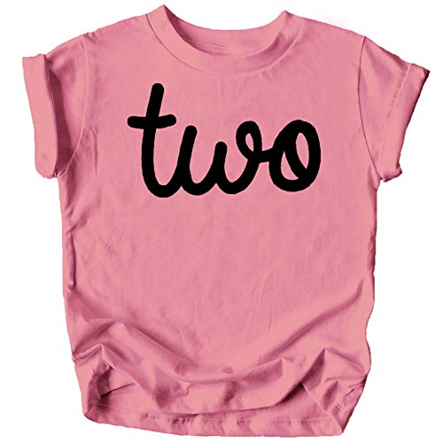 Olive Loves Apple Girls 2nd Birthday Two Shirt for Toddler Girls Second Birthday Outfit Black on Mauve Shirt 2T