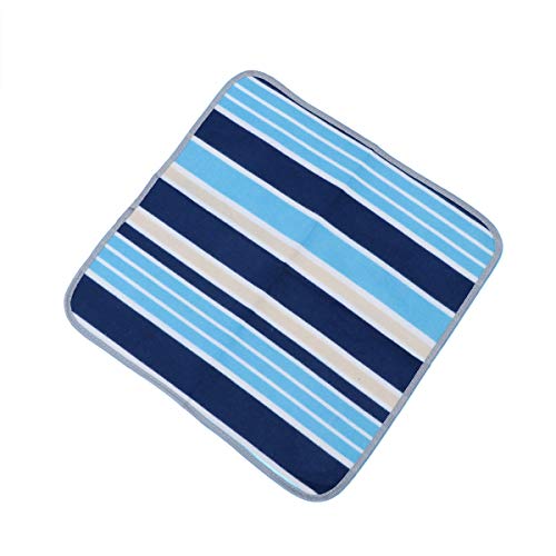LIOOBO Outdoor Camping Mat Seat Cushion Portable Waterproof Chair Picnic Mat Pad for Kids Adult (Blue Strip)