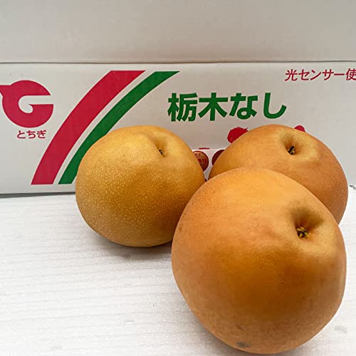 栃木産 にっこり梨 【優品】 大玉サイズ ４玉～９玉 【１０月中旬～１１月中旬頃発送日付指定不可】のサムネイル