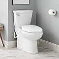 Signature Hardware 481680 Bradenton 1.28 GPF Two Piece Elongated Toilet - Bidet Seat Included, ADA Compliant - White