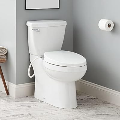 Signature Hardware 481680 Bradenton 1.28 GPF Two Piece Elongated Toilet - Bidet Seat Included, ADA Compliant - White
