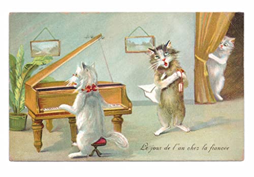 Affiches sur toile chat Louis Wain 50 x 70 cm poster mural décoration chat