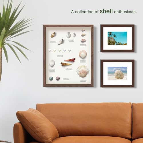 FrameWorks 11” x 14” Golden Oak Wooden Shadow Box Frame – Display Case with Soft Felt Back, Memory Box with Tempered Glass, Display Box with Elegant White Ball Push Pins, Wooden Flower Box