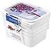 Produktbild Rotho Domino 4er Set Gefrierdosen 0.5l mit beschreibbarem Motiv auf dem Deckel, Kunststoff (PP) BPA-frei, weiss, 4 x 0.5l (15.7 x 11.8 x 10.5 cm)