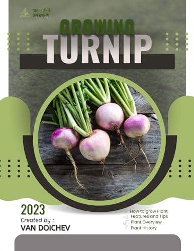 Turnip: Guide and overview