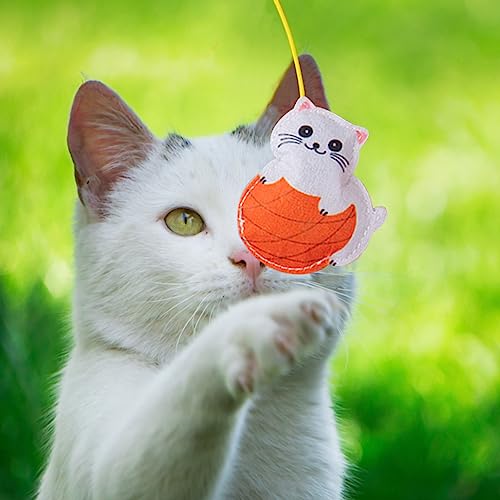 5 Pcs gato pendurado,Brinquedos interativos engraçados do gato - gato porta suspensa retrátil com ga