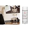 Design Master Spray, Flat White, 12 oz