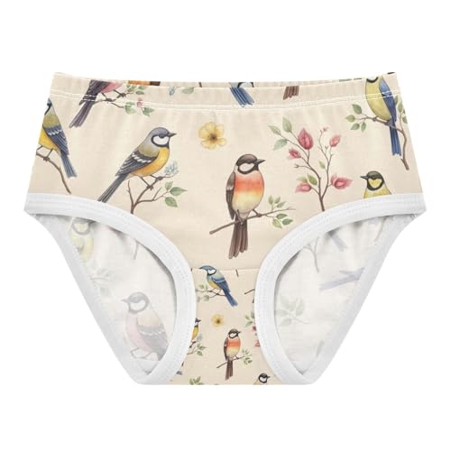 Watercolor Colorful Birds Cotton Toddler Underwear, Girls Underwear Cotton, 2T–8 Years - Main Image
