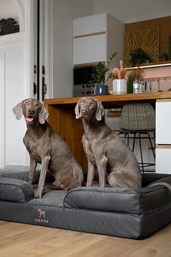 Image of NOAH & PAW Giant Dog Bed XXL, 55x45x11 Inch, Orthopedic Dog Beds, Eggshell Memory Foam Infused with Cooling Gel, Inner Cover, Water Resistant, Machine Washable (Faux Leather)
