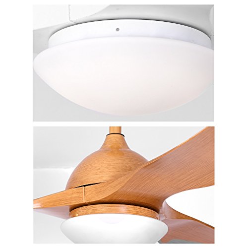 Ventilateur de plafond de 52 pouces avec télécommande pour salon