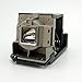 CTLAMP Replacement 01-00247/75016600 Projector Lamp Module for SMARTBOARD Unifi 45 / 600i2 / 660i2 / 680i / 680i2 / UF45