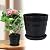 Small Plant Pots, Cute Colorful Flower Pots with Drainage Holes and Tray,Nursery Succulent Pot Planters for Indoor Plants,Green Succulents Plants Pot