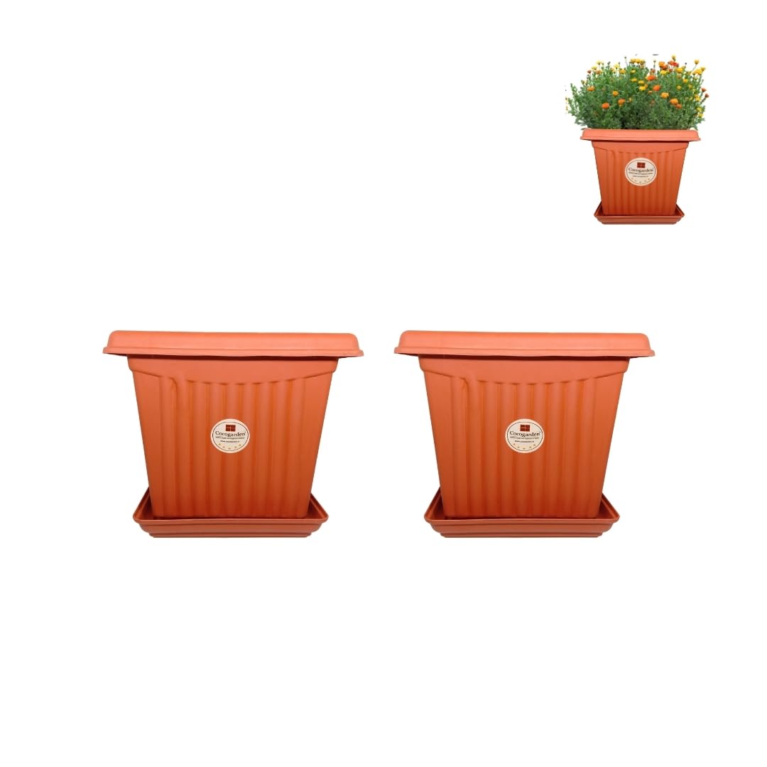 cocogarden Square 8 inch Window Planters Pots for Plants with Tray (Pack of 2,Terracotta Colour) (B0847R3XZ3) Amazon Price History, Amazon Price Tracker