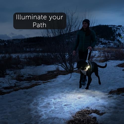 Tug Dog Light - Walking Flashlight Connects To Dog Leashes, Collars, & Harnesses | Rechargeable And Bright Led For Night Walks thumb #1