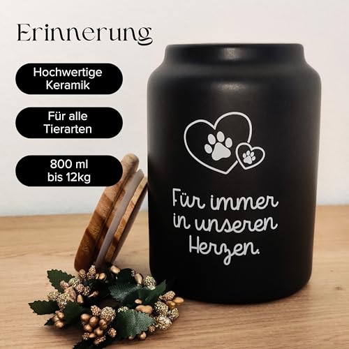 HOUSLY® Urne Hund | 800ml - Für kleine und mittelgroße Hunde | Tierurnen für Hunde | Andenken an verstorbenen Hund | Tierurnen für Katze | Urne Katze (Für Immer in unseren Herzen.)