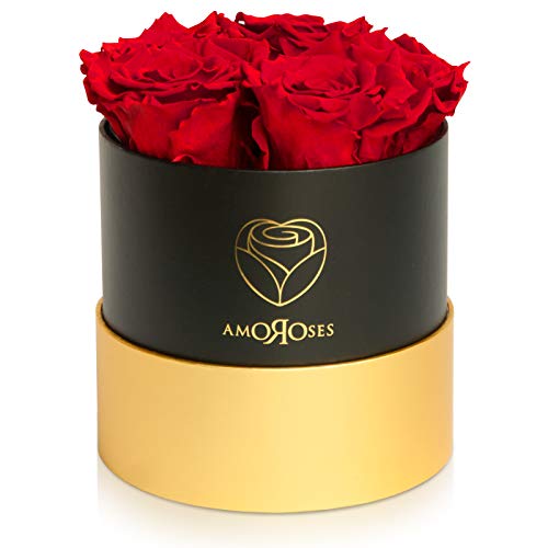 Amoroses Petite - Confezione Regalo 5 Rose Stabilizzate Eterne -...