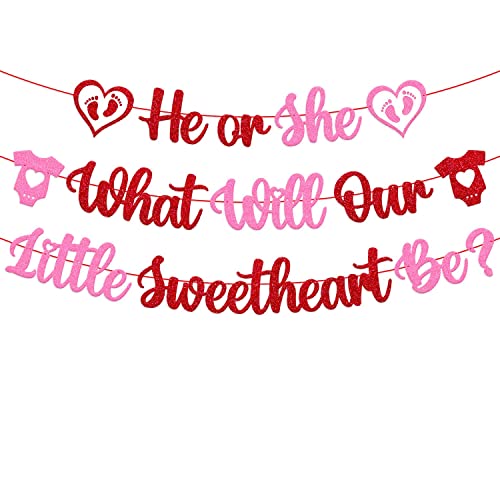 Image of FestikoHe or She What Will Our Little Sweetheart Be Banner Happy Valentine's Day Theme Glitter Pink Red Glitter Party Decorations Supplies