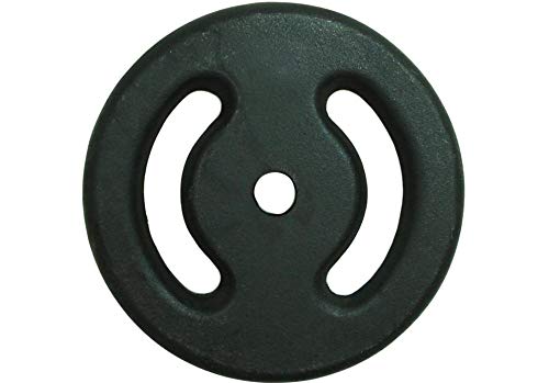 Anilha Pintada Iniciativa Fitness 10kg - Unidade