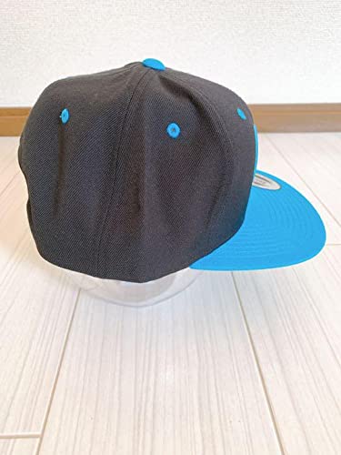 Amazon.co.jp: サザンオールスターズ 桑田佳祐 茅ヶ崎オリジナル