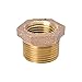 Thrifco 5318075 2 inch x 1-1/2 inch Brass Hex Bushing