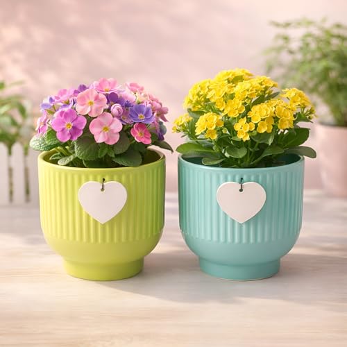Image of Xtore Vibrant Ribbed Ceramic Planter Set for Indoor Plants | Modern Decorative Flower Pots for Desk, Shelf & Home Styling (Pack of 2, Planter only)