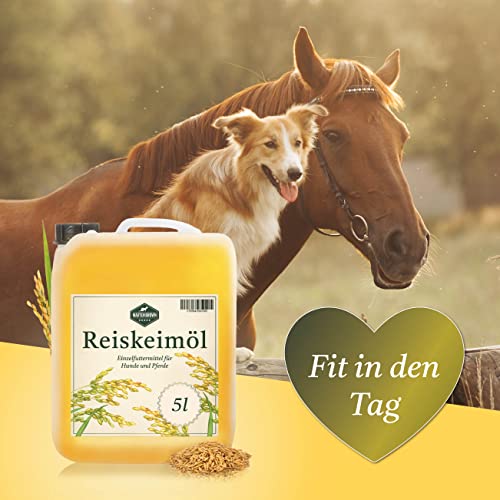 Martenbrown® Reiskeimöl 5 Liter für Pferde, Hunde und Esel I Im praktischen Kanister | Nahrungsergänzung für Trockenfutter, Dosenfutter oder als Barf-Öl