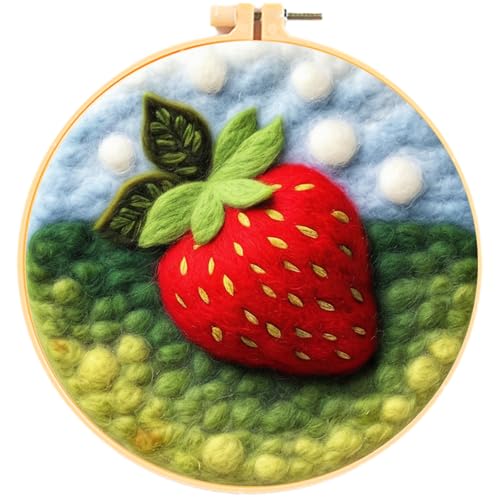Image of Hlison Strawberries Needle Felting Kit with Vedio Tutorial, Beginner Felting Needle Includes Wool Bag, Felting Needles, Foam Pad, Felt Cloth, Instructions