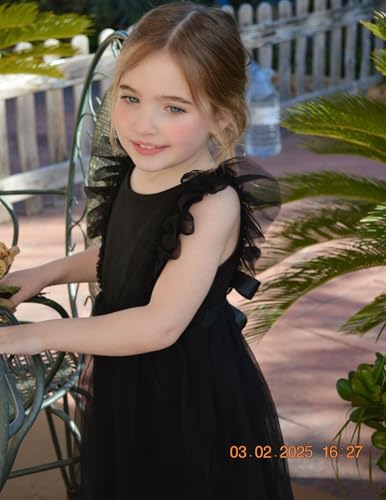 Arshiner Toddler Dress Summer Ruffle Sleeve V-Back Tie Waist Flower Girl Dresses Wedding Tulle Outfit 2-8Y4