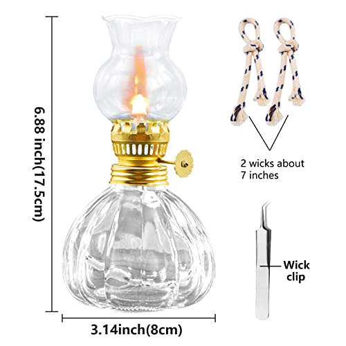 Kerosene Oil Lamp For Indoor Use,1 Glass Kerosene Lamp,2 Wicks And 1 Tweezers,Classic Retro Hurricane Lantern Decoration Outdoor Camping(Hyaline) #TOP1