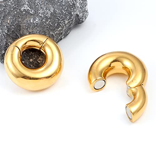 Casvort 2 PCS Hypoallergenic 316 Stainless Steel Halo Ear Hangers Basic Hot Ear Weights Gauges Plugs for Stretched Lobe Body Jewelry Piercing Plug Pair Selling 2g 0g4